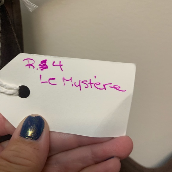 R4 - LE MYSTERE 38G padded Bra - Picture 2 of 4